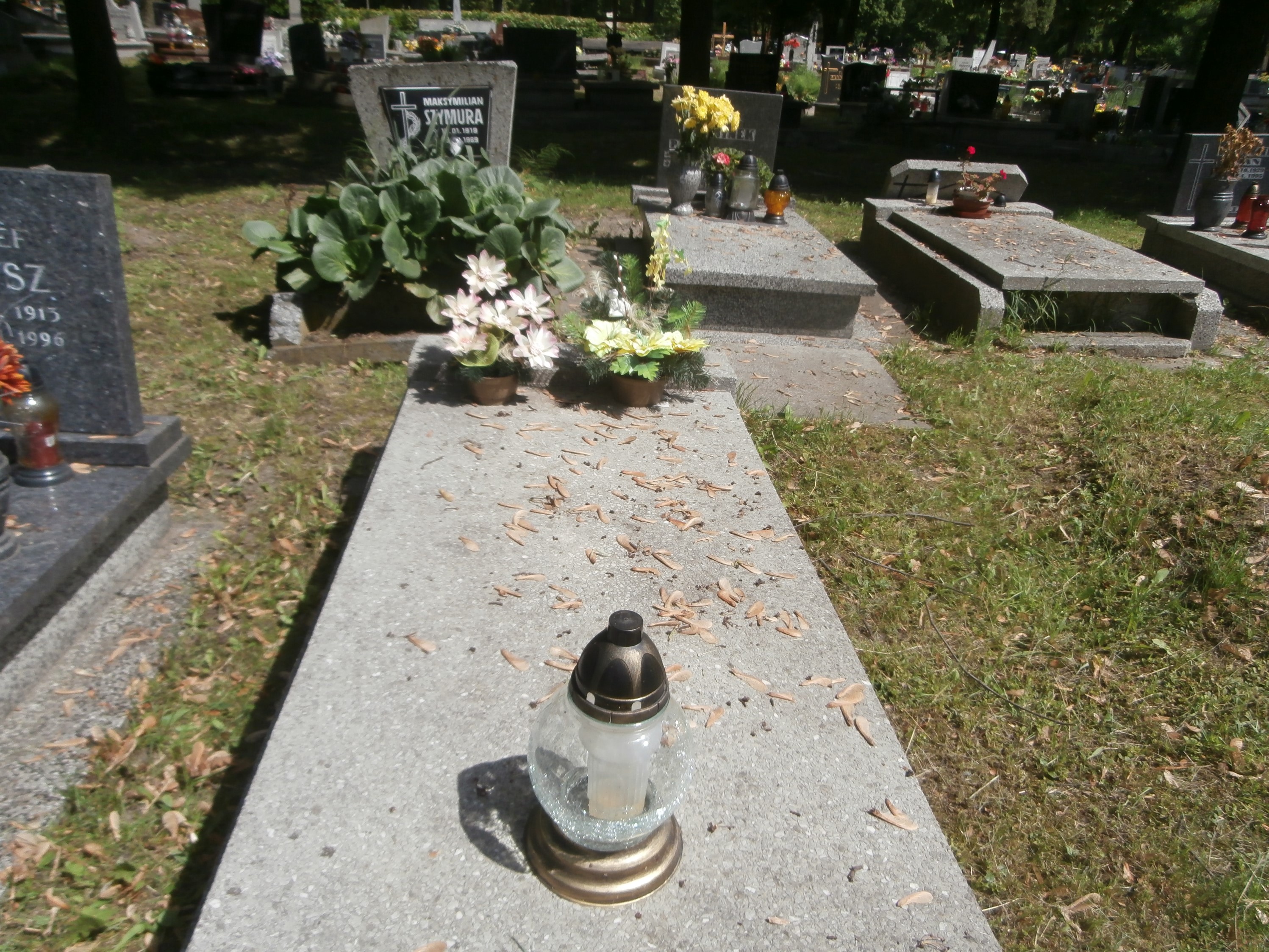 Wiktoria Krawczyk 1882 Bytom - Grobonet - Wyszukiwarka osób pochowanych