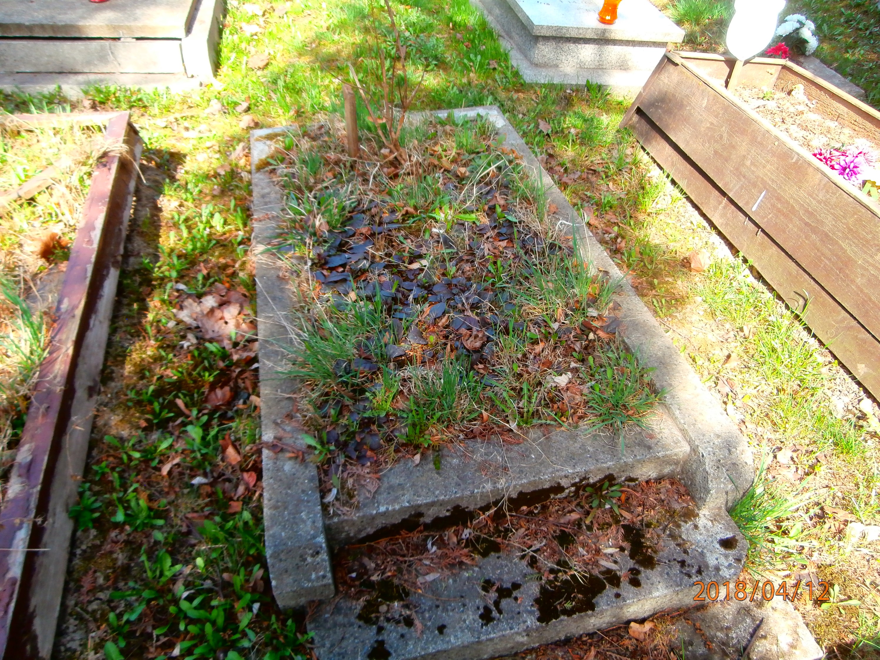 Witold Sluplik 1893 Bytom - Grobonet - Wyszukiwarka osób pochowanych