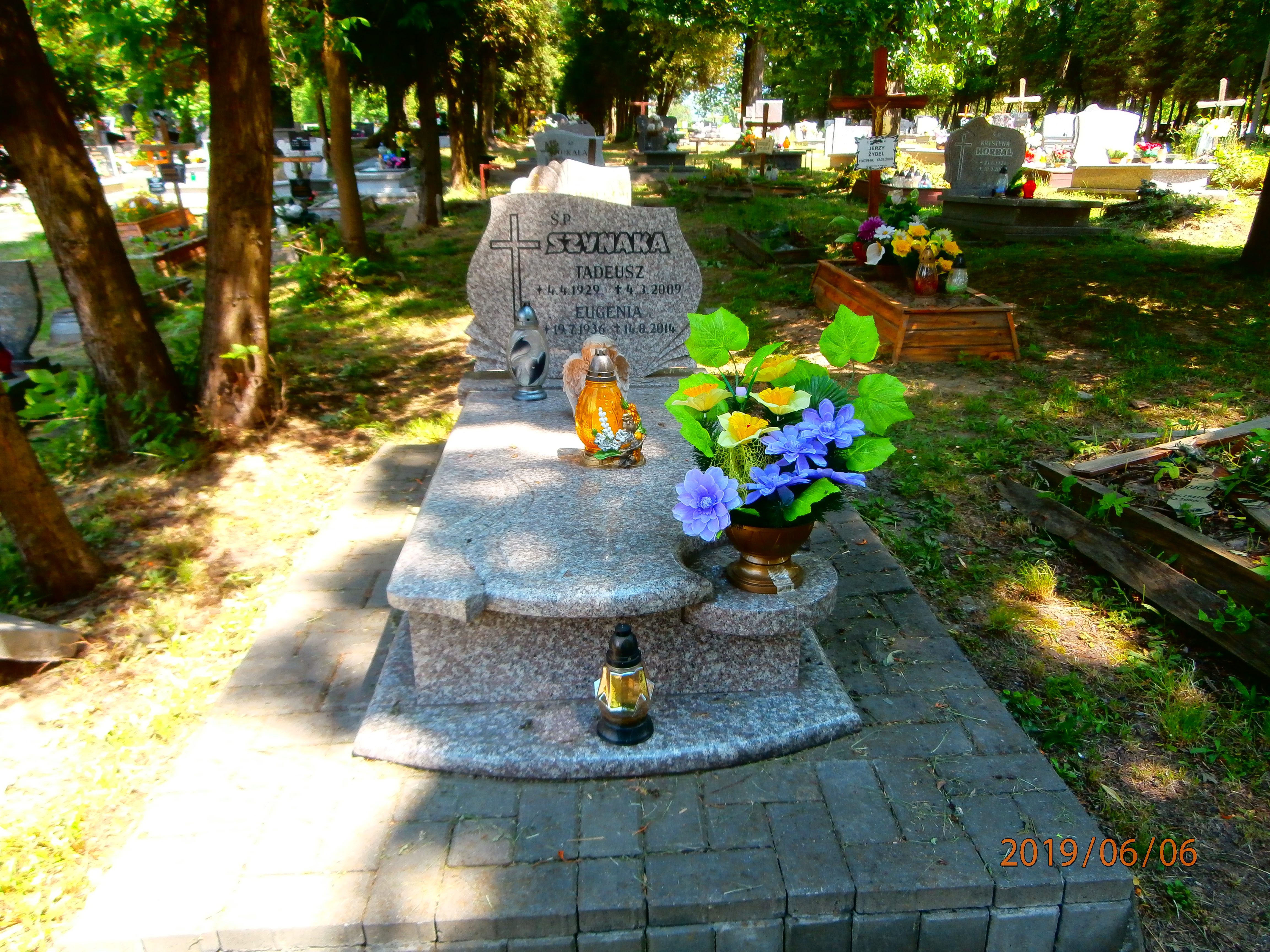 Tadeusz Szynaka 1929 Bytom - Grobonet - Wyszukiwarka osób pochowanych