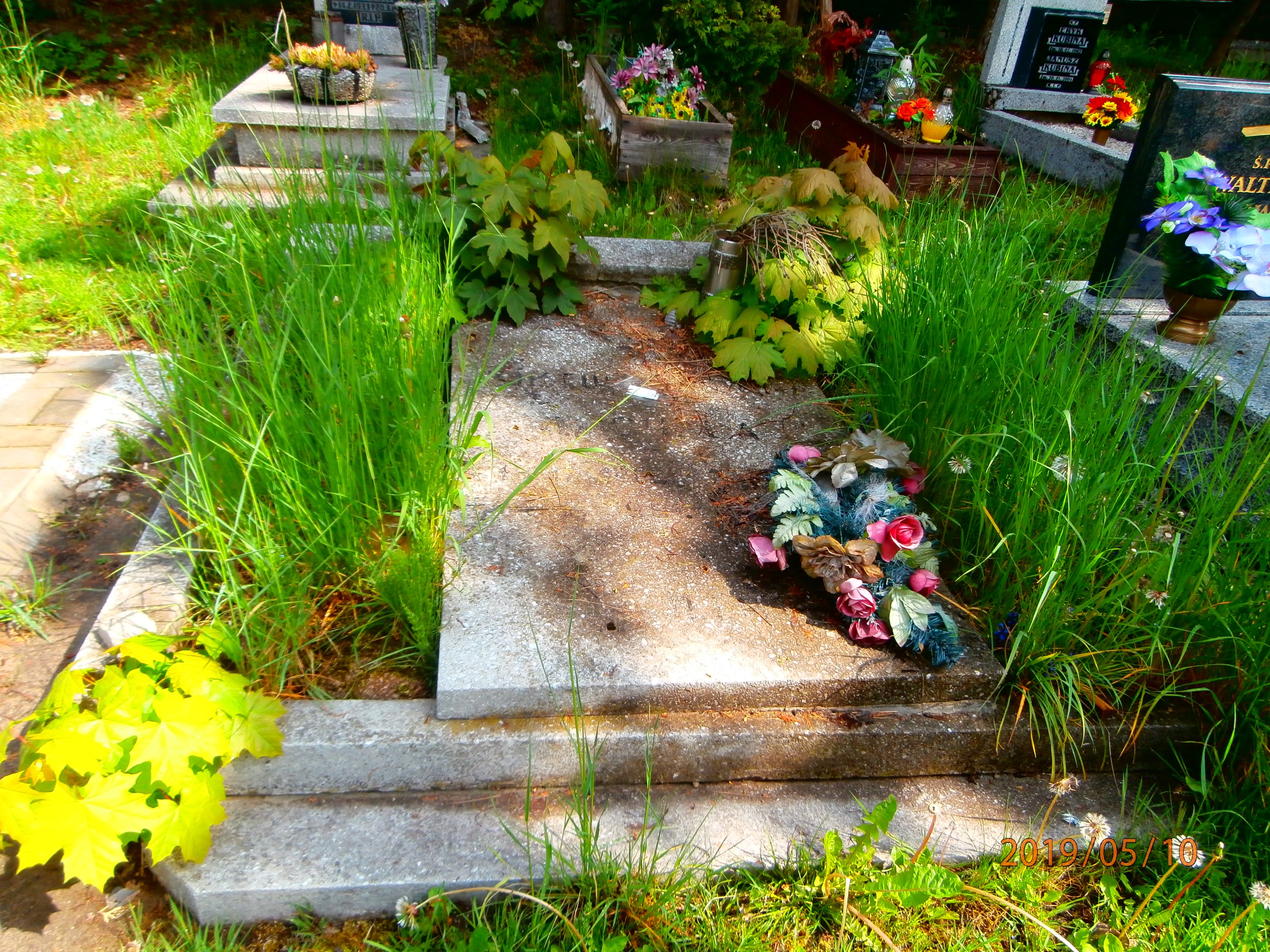 Wiktor Michala 1905 Bytom - Grobonet - Wyszukiwarka osób pochowanych