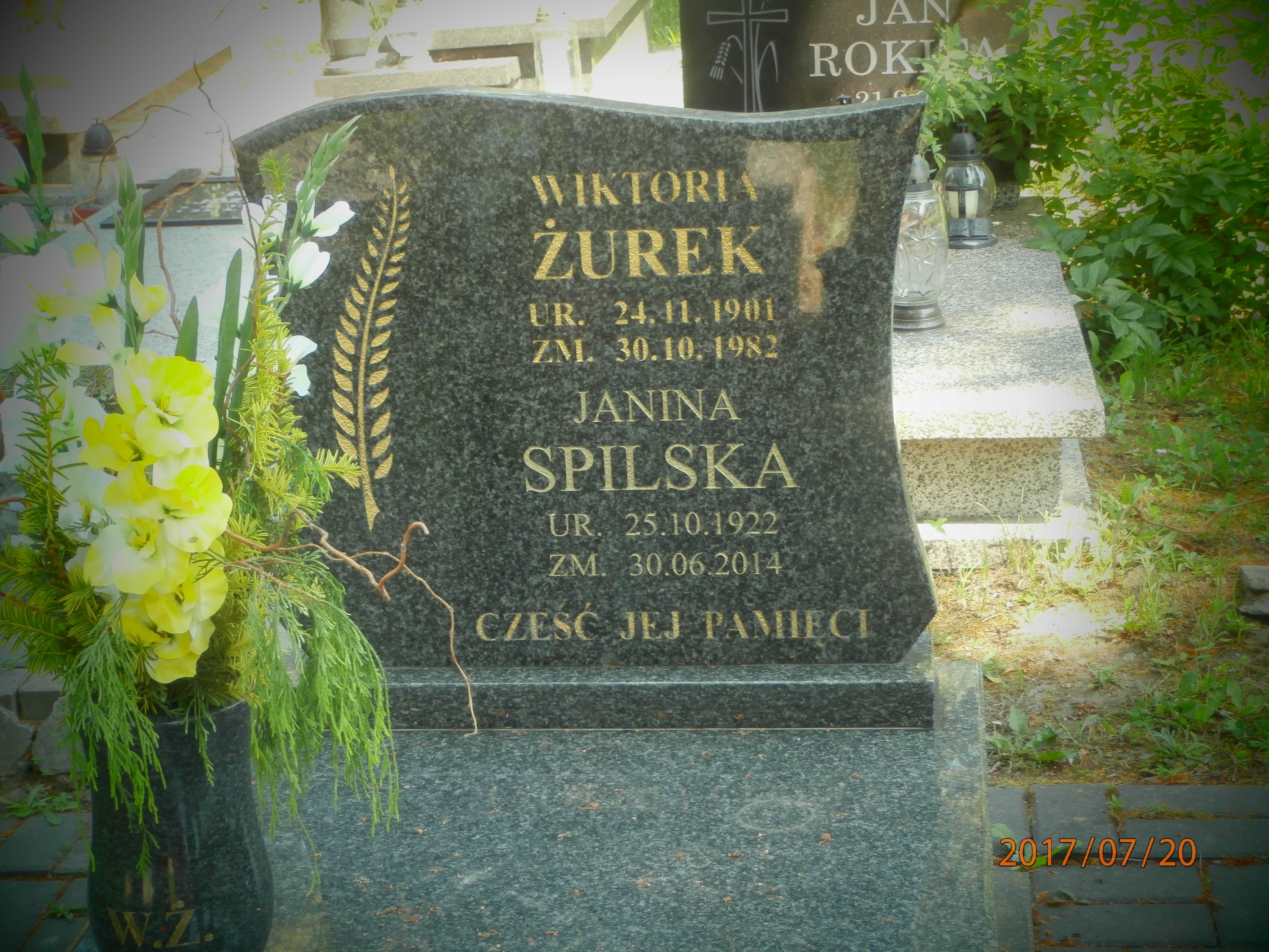 Wiktoria Żurek 1901 Bytom - Grobonet - Wyszukiwarka osób pochowanych