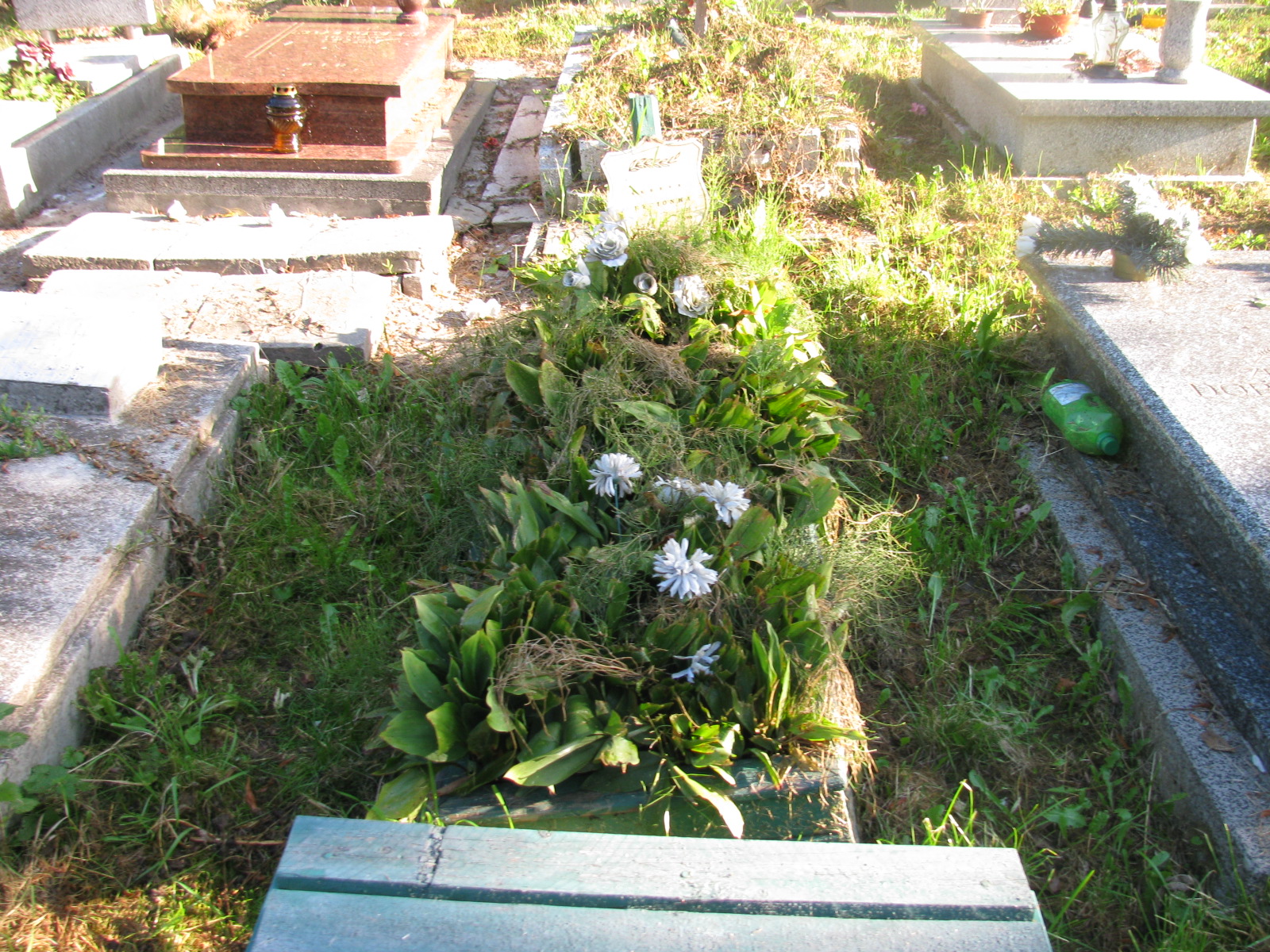 Władysław Trzcionka 1930 Bytom - Grobonet - Wyszukiwarka osób pochowanych