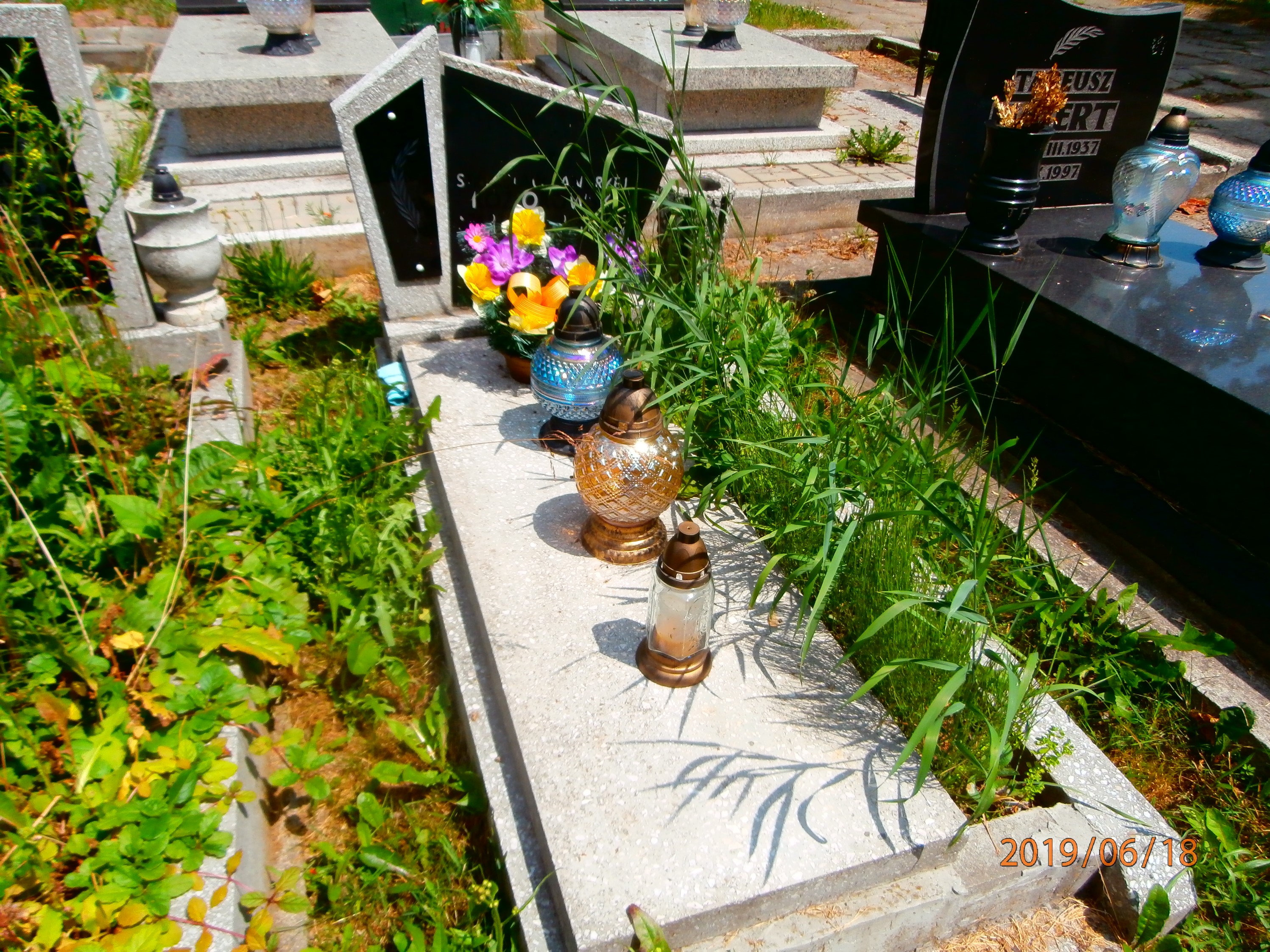 Barbara Sawczuk 1959 Bytom - Grobonet - Wyszukiwarka osób pochowanych