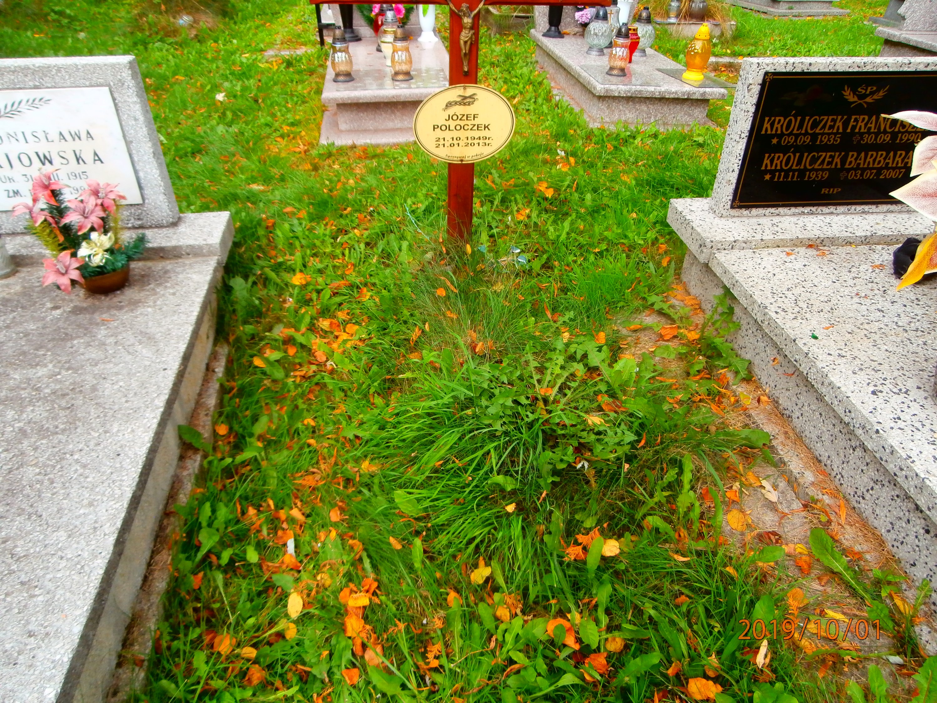 Józef Poloczek 1949 Bytom - Grobonet - Wyszukiwarka osób pochowanych