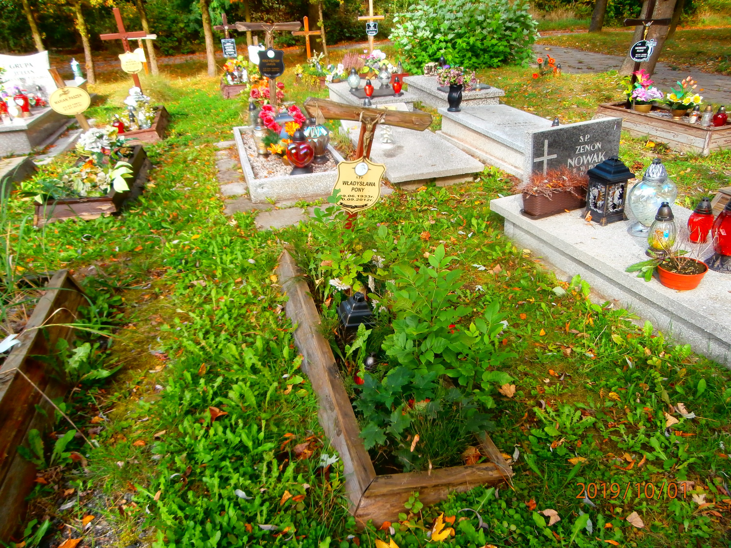 Władysława Pony 1933 Bytom - Grobonet - Wyszukiwarka osób pochowanych