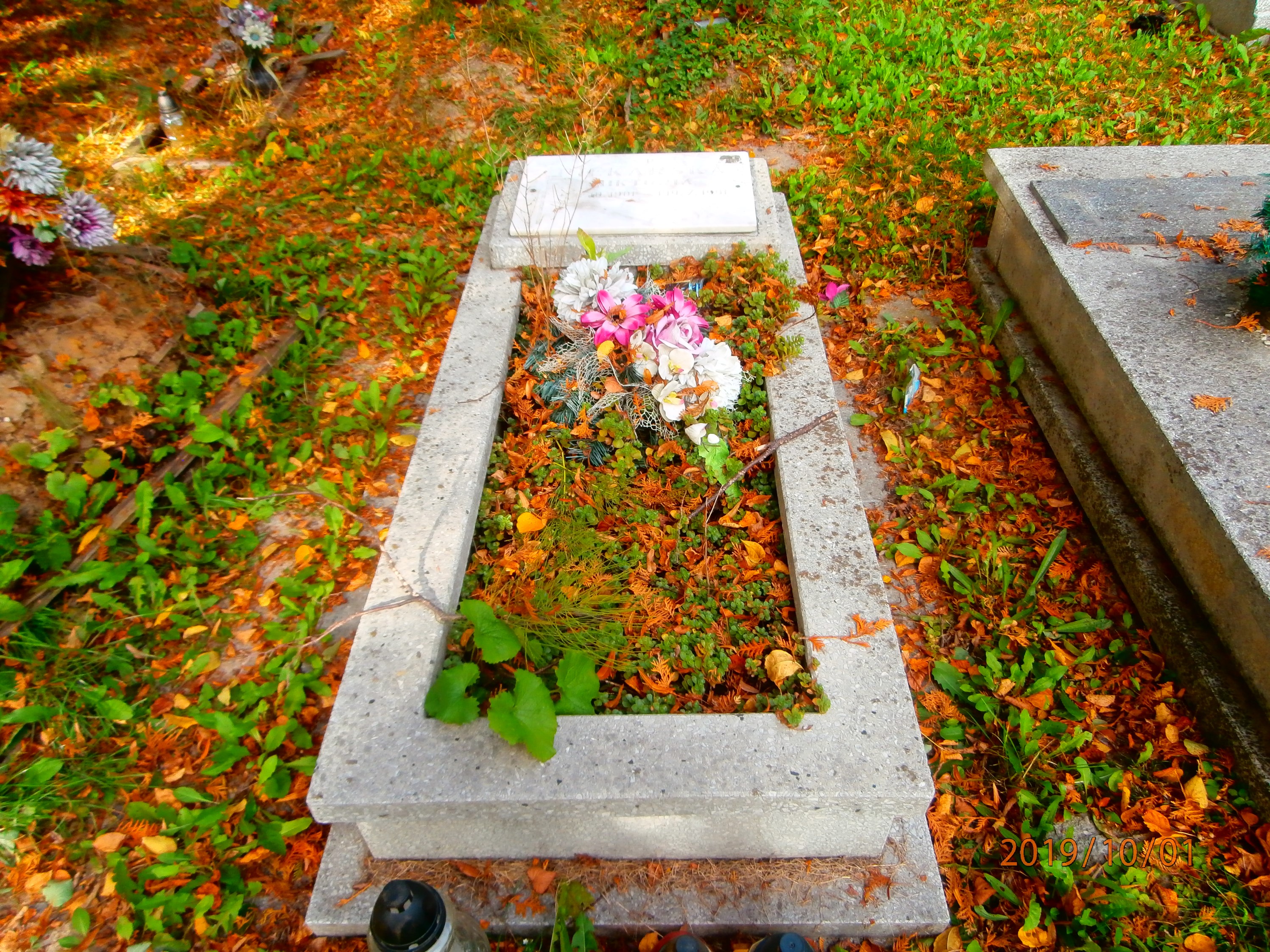 Wiktoria Piekarska 1901 Bytom - Grobonet - Wyszukiwarka osób pochowanych