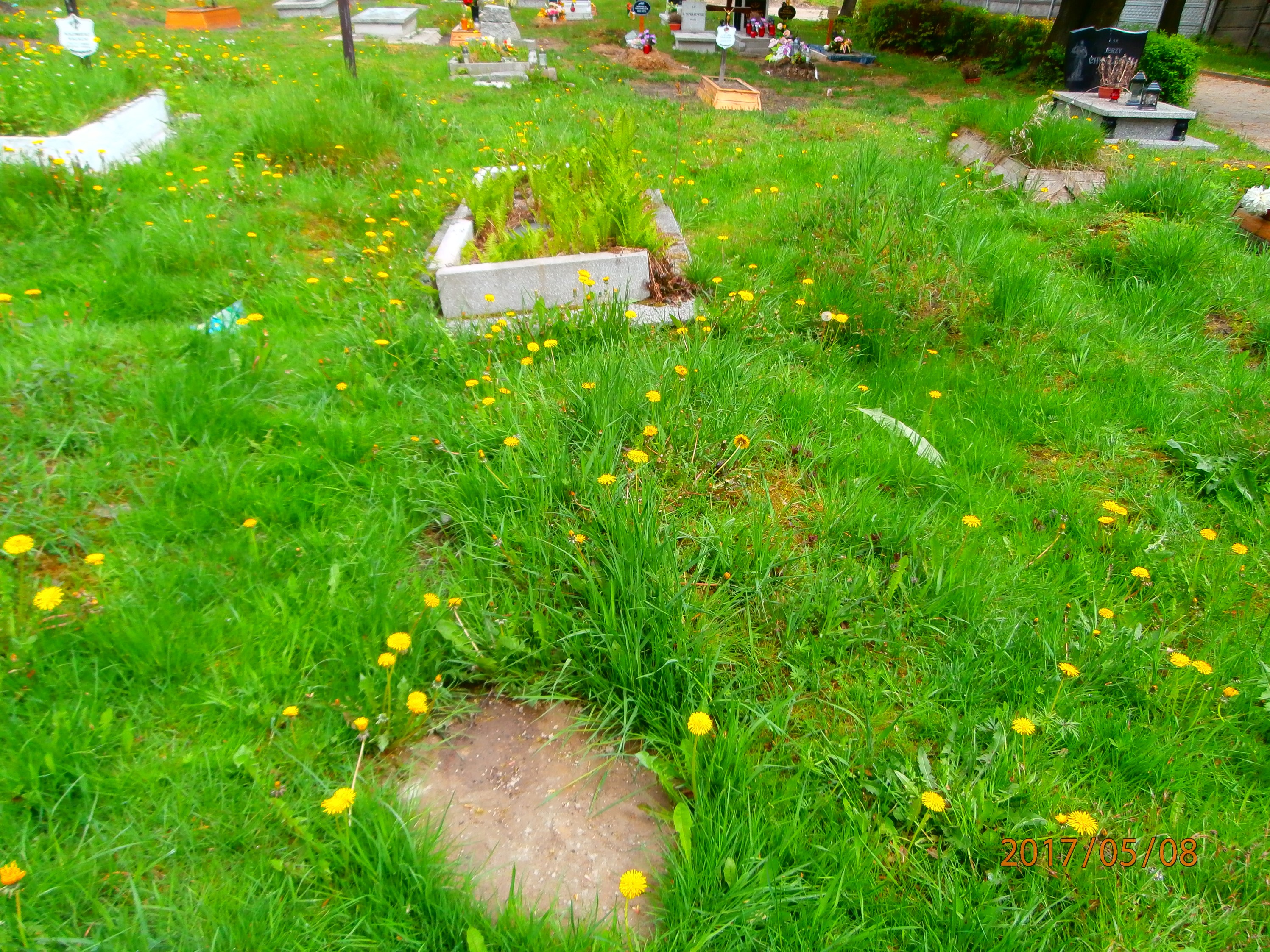 Zbigniew Hajduk 1957 Bytom - Grobonet - Wyszukiwarka osób pochowanych