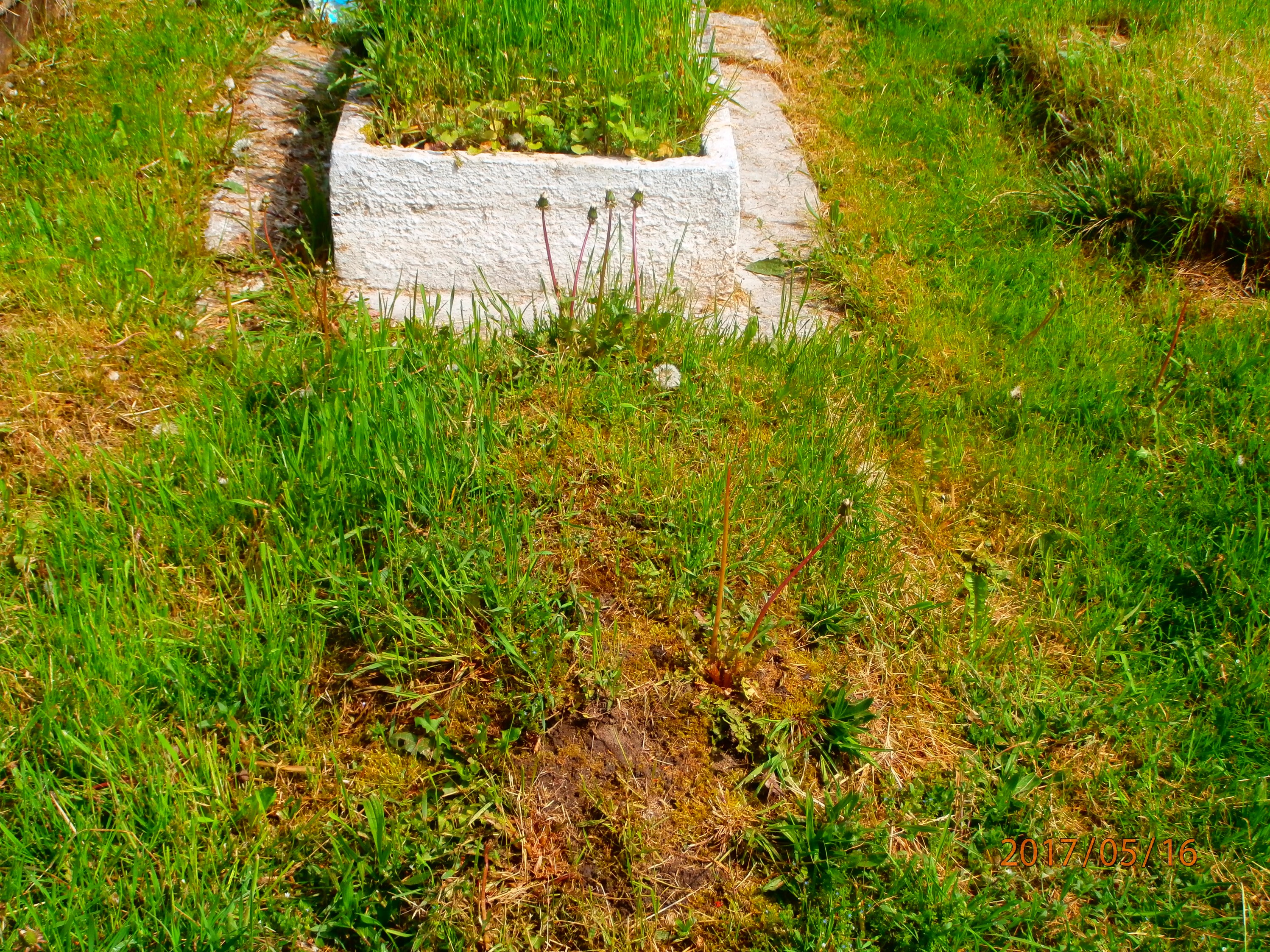 Ryszard Sobecko 1927 Bytom - Grobonet - Wyszukiwarka osób pochowanych