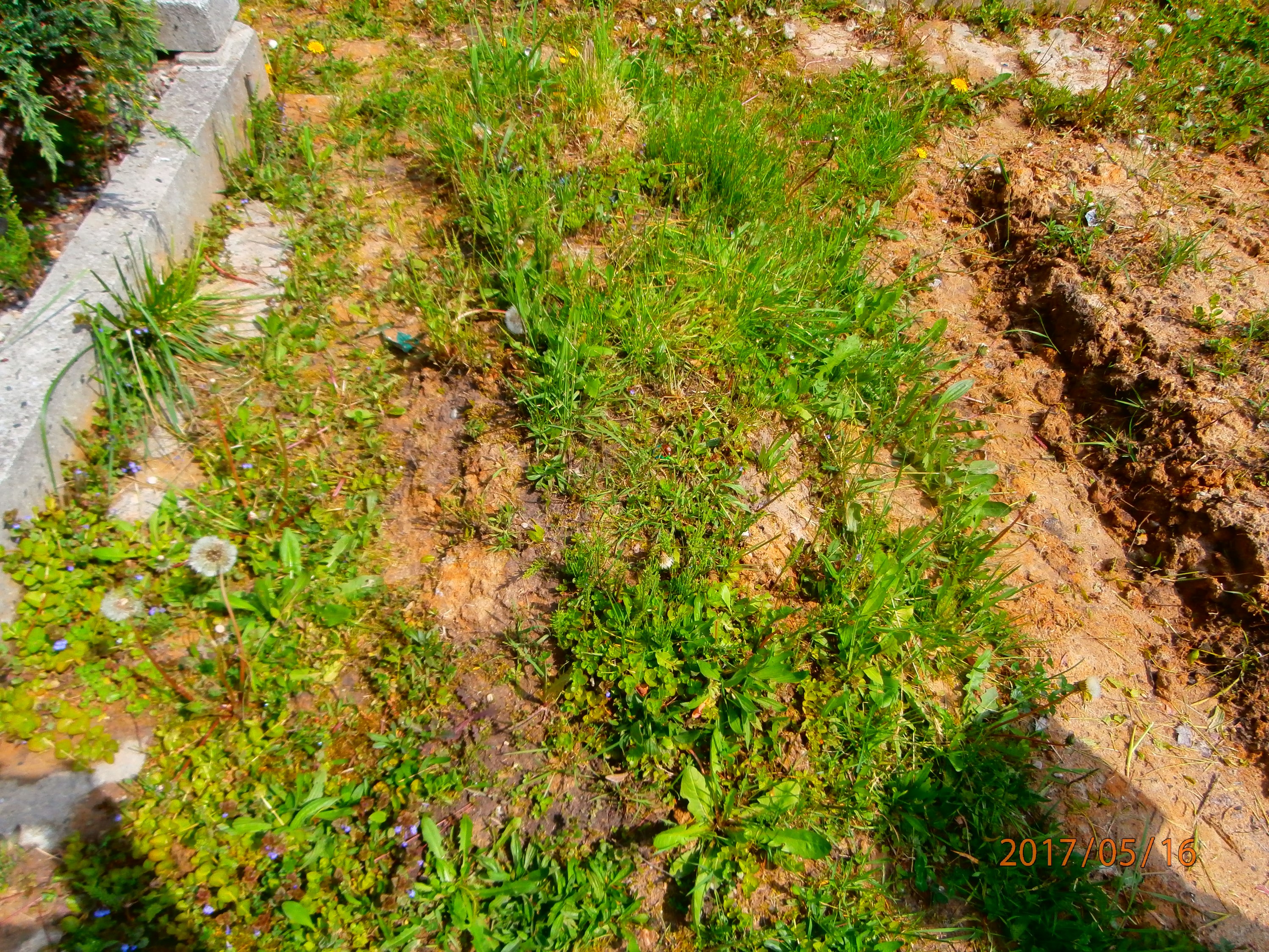 Andrzej Hetmański 1956 Bytom - Grobonet - Wyszukiwarka osób pochowanych