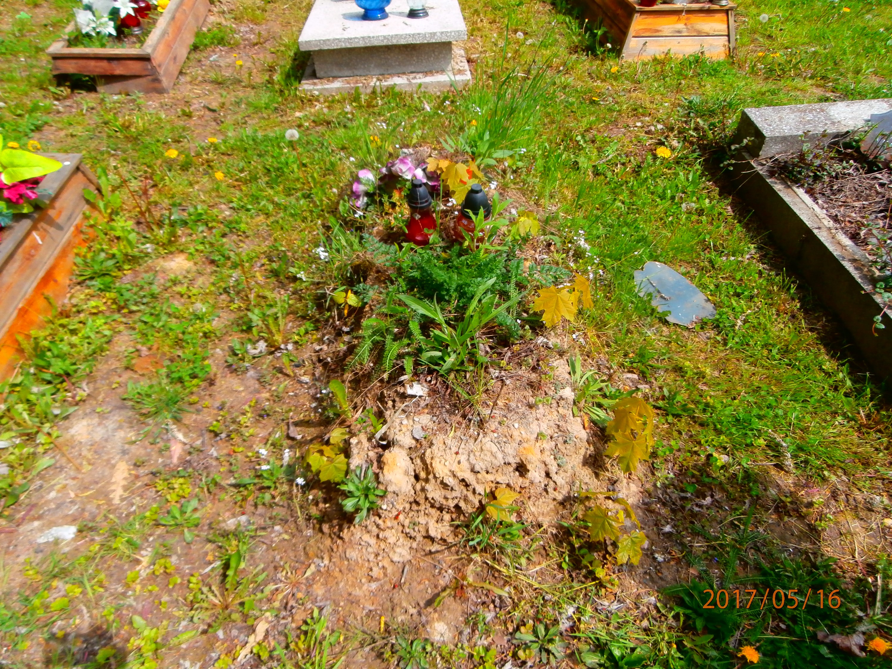 Bogumiła Kolenda 1938 Bytom - Grobonet - Wyszukiwarka osób pochowanych