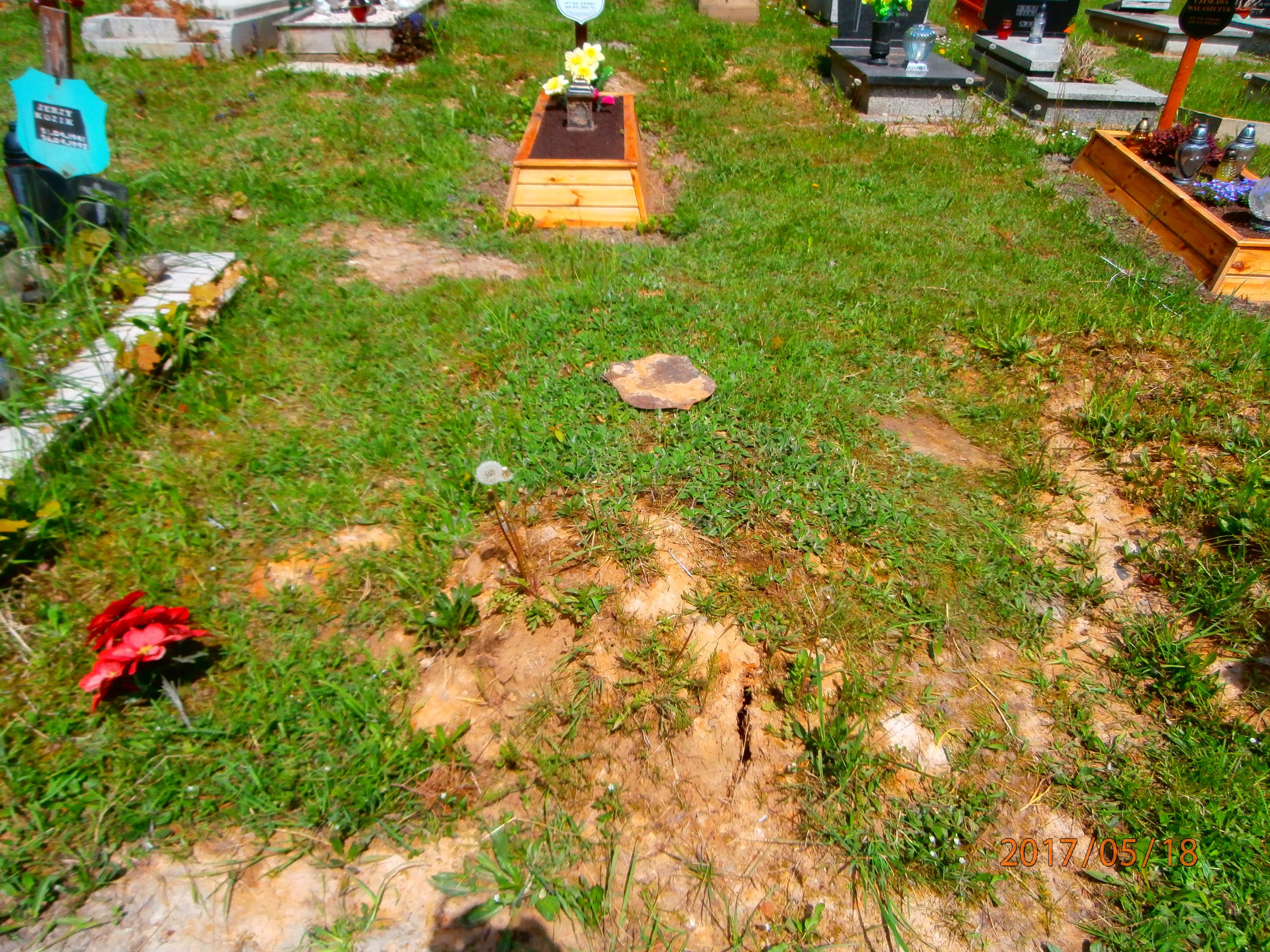 Urszula Kaczmarczyk 1963 Bytom - Grobonet - Wyszukiwarka osób pochowanych