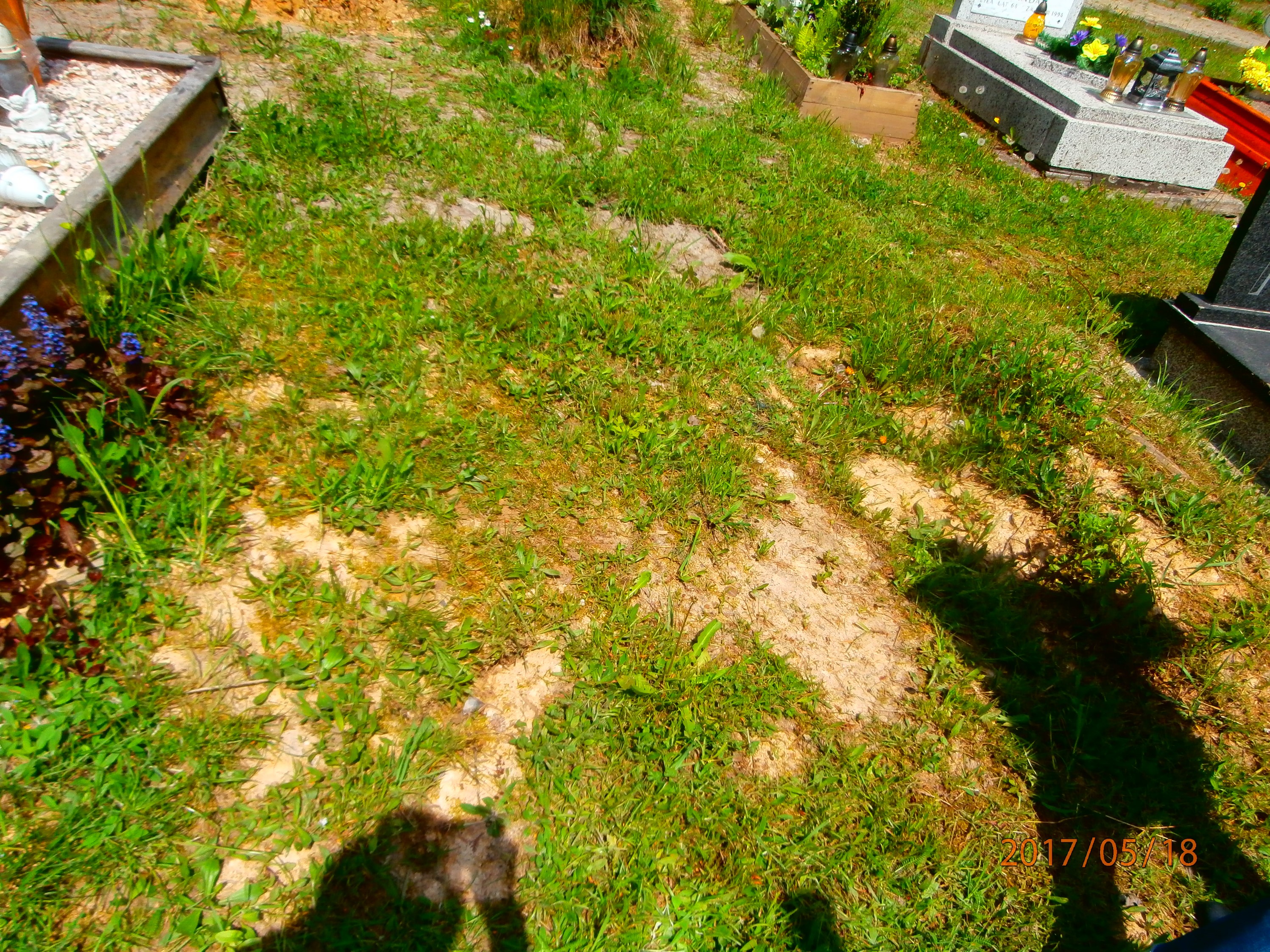 Grób Stanisław Matuszewski