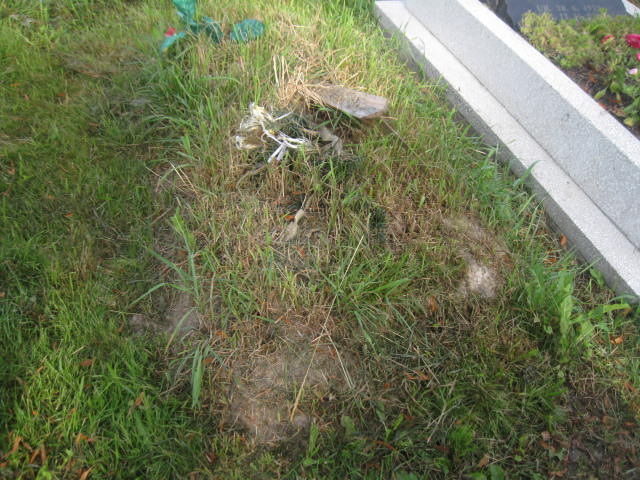  NN Bytom - Grobonet - Wyszukiwarka osób pochowanych