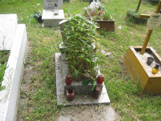 Grób Tomasz Górnik