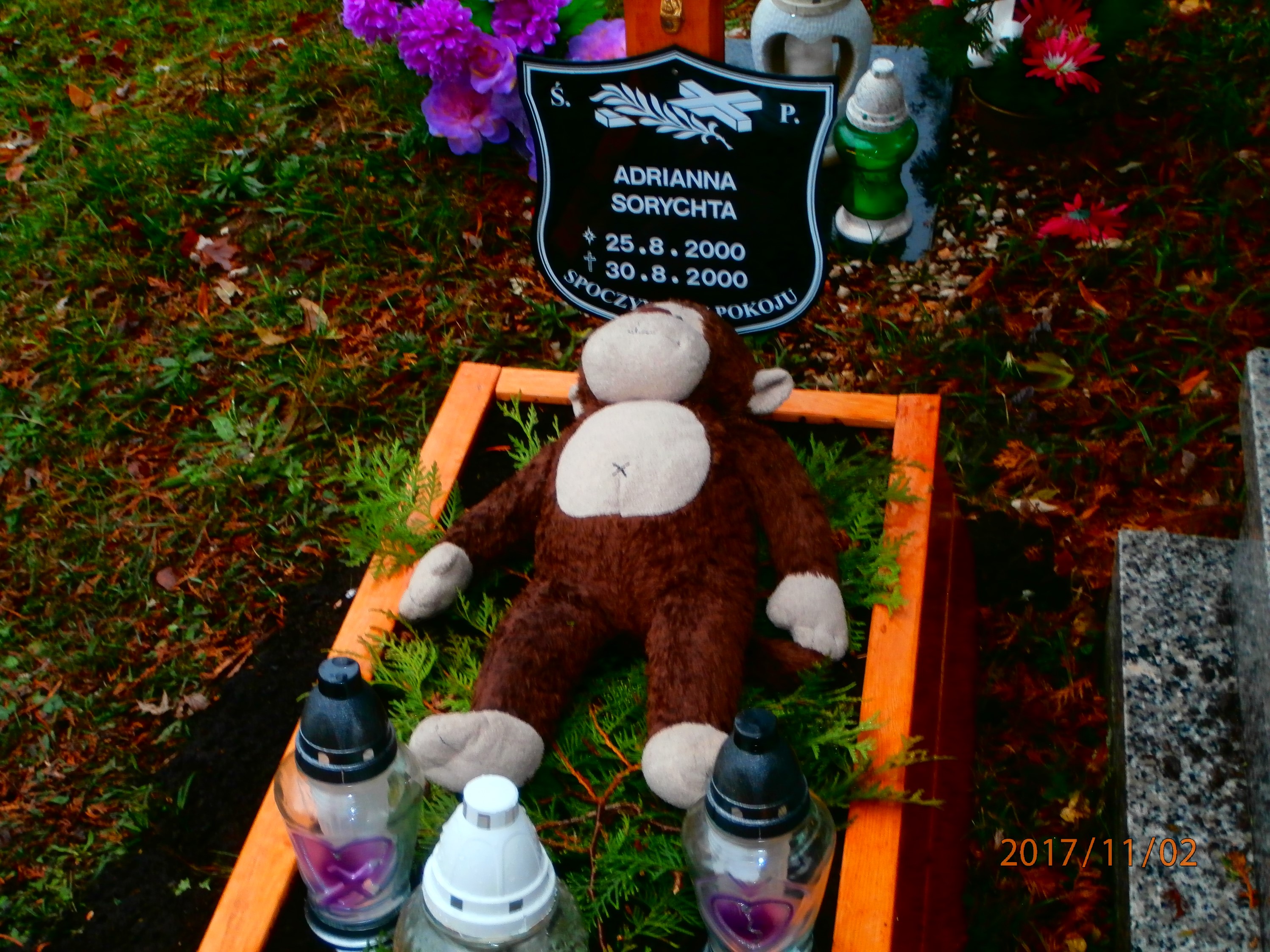  Sorychta 2000 Bytom - Grobonet - Wyszukiwarka osób pochowanych