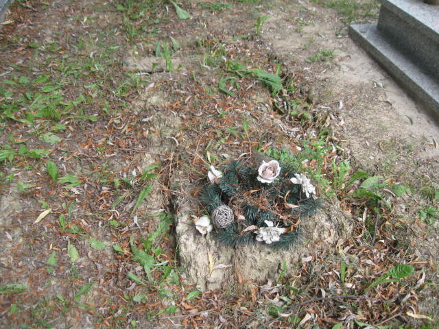  NN Bytom - Grobonet - Wyszukiwarka osób pochowanych