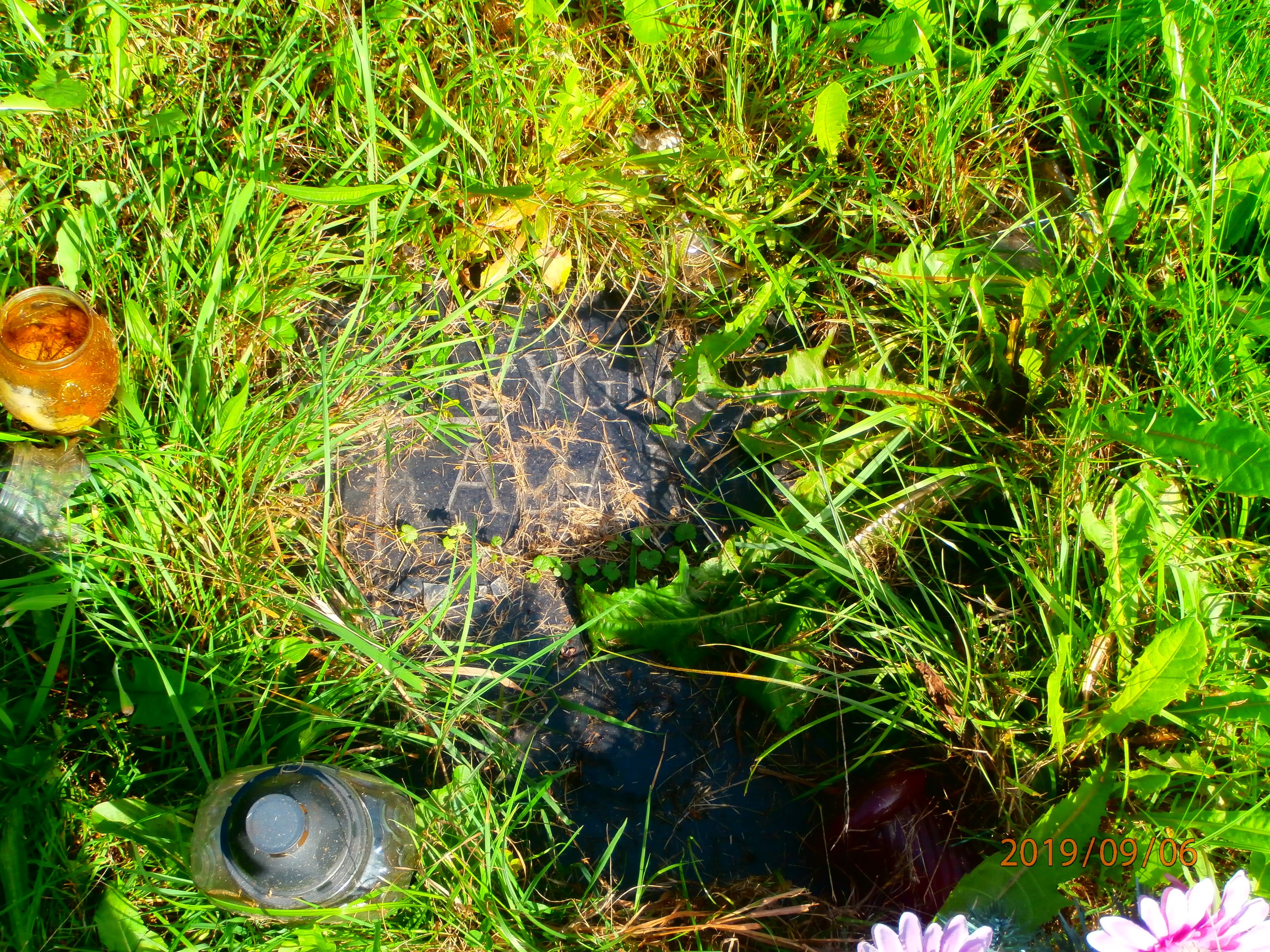 Grób Zygmunt Adamiec