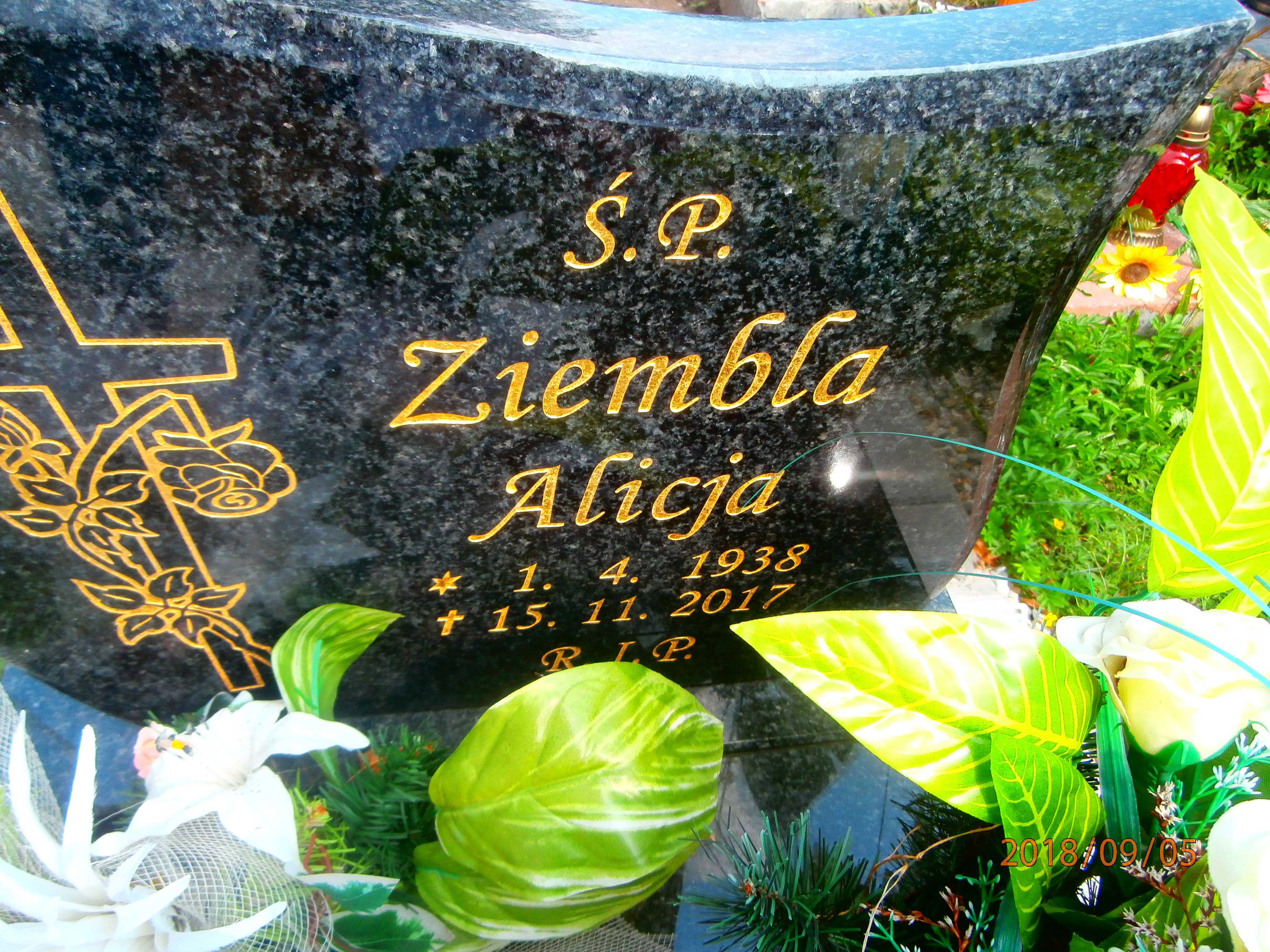 Grób Alicja Ziembla