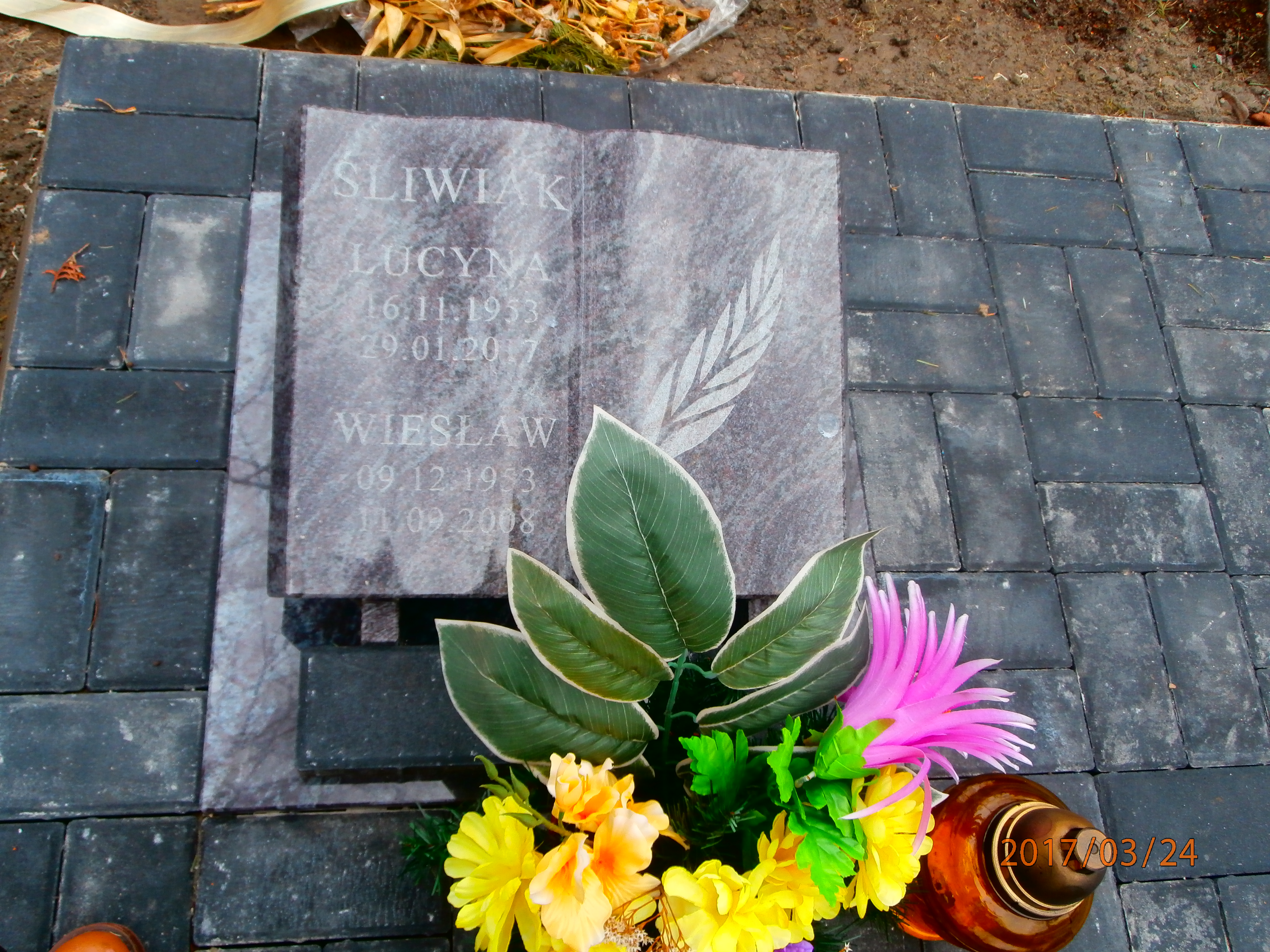 Lucyna Śliwiak 1953 Bytom - Grobonet - Wyszukiwarka osób pochowanych