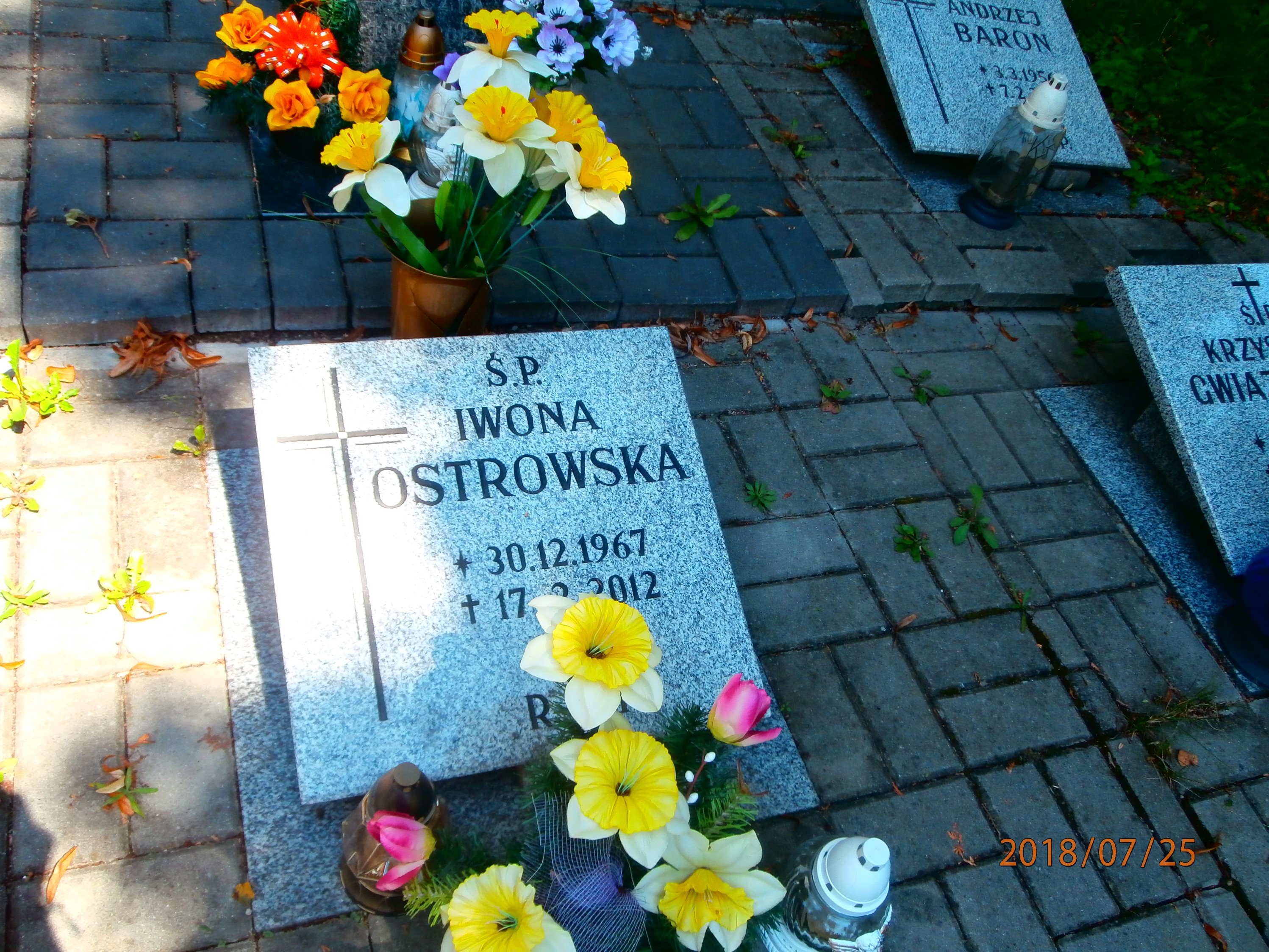 Iwona Ostrowska 1967 Bytom - Grobonet - Wyszukiwarka osób pochowanych