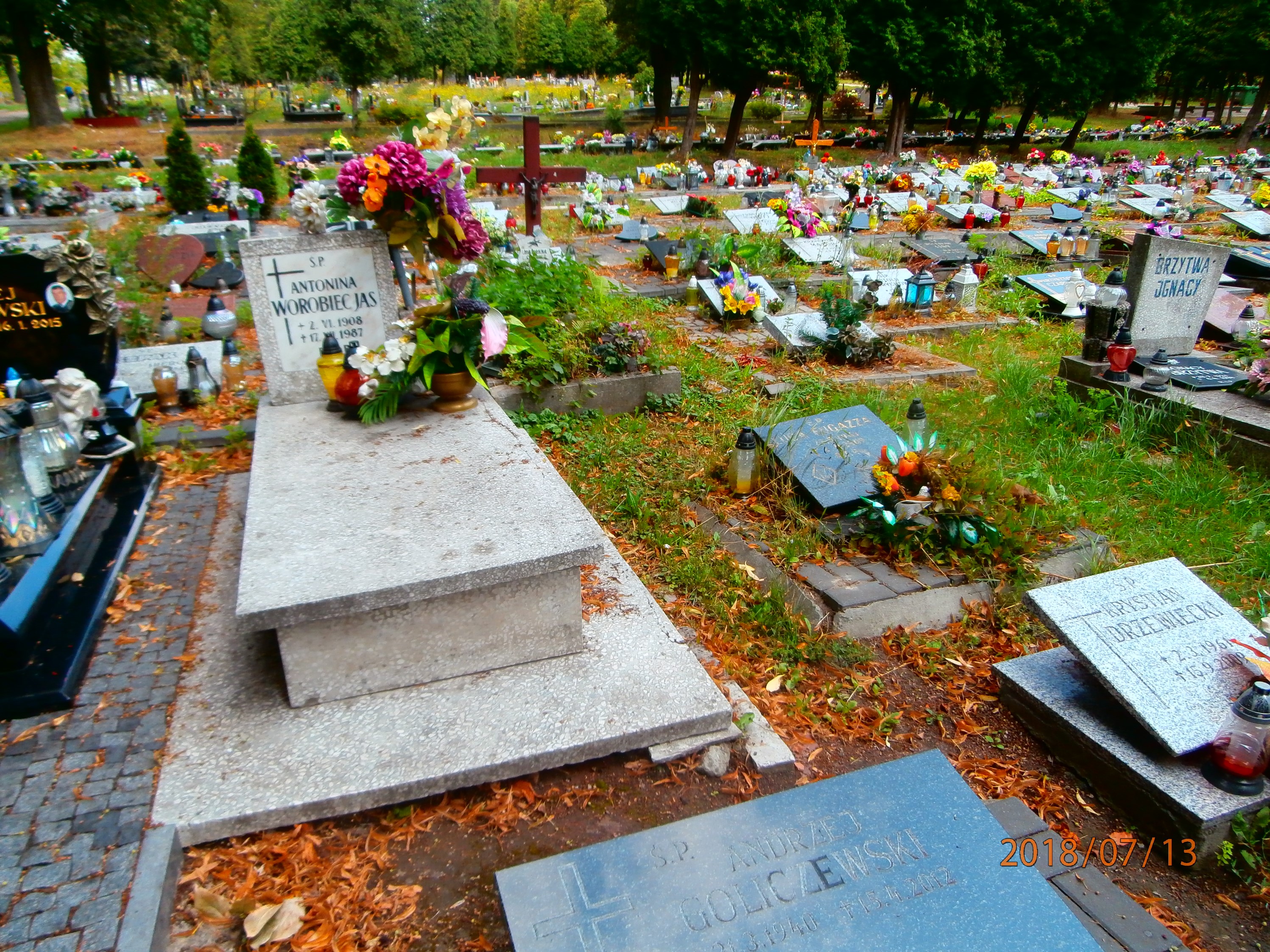 Grób Stanisława Jas